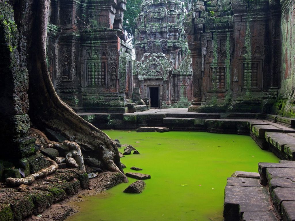 Ta Prohm temple in Cambodia