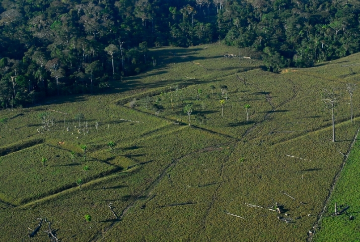 Amazon Basin Earthworks - The Ancient Connection