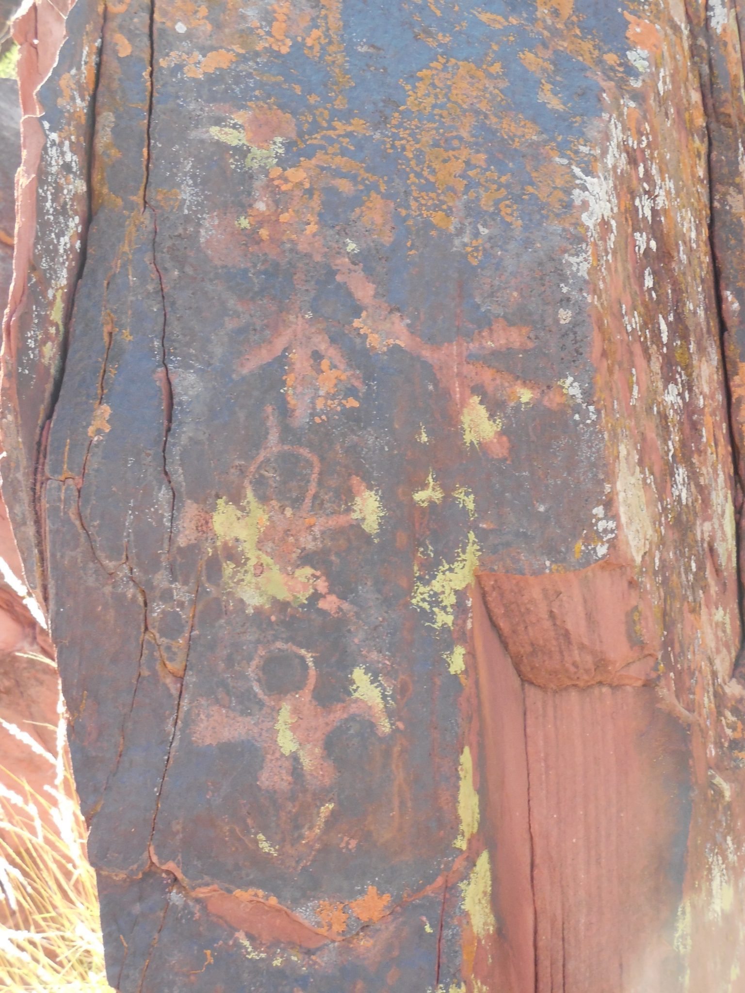 Talampaya Petroglyphs, Argentina 