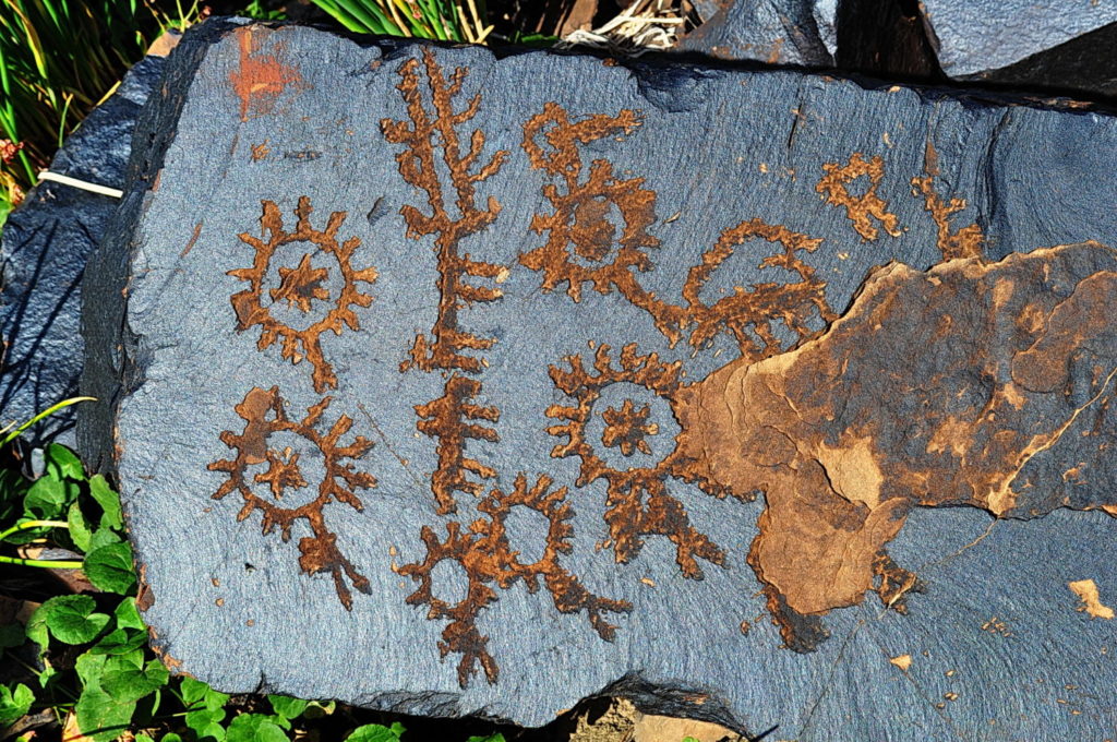 Petroglyphs of Saimaluu Tash, Kyrgyzstan