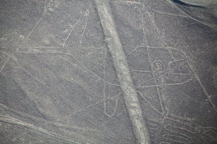 Nazca Lines Whale