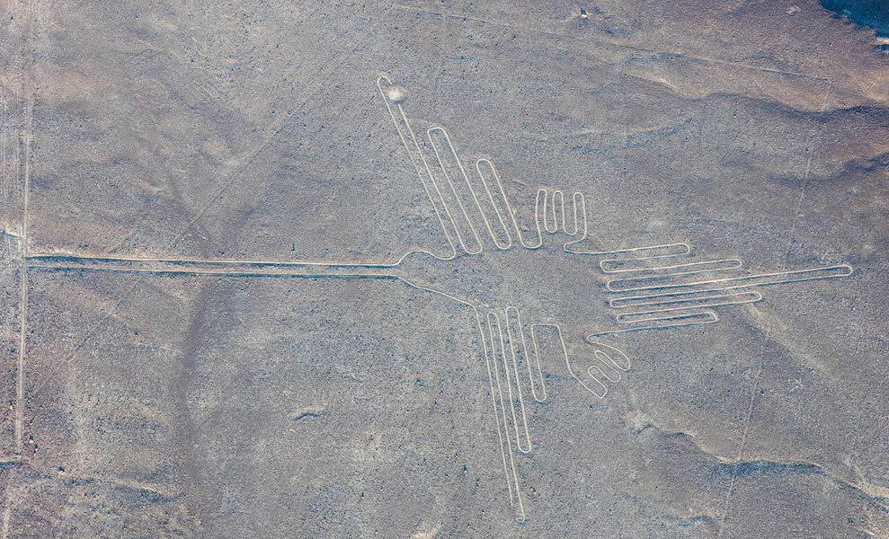Nazca lines condor