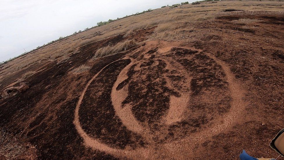 Indian geoglyphs winged scarab