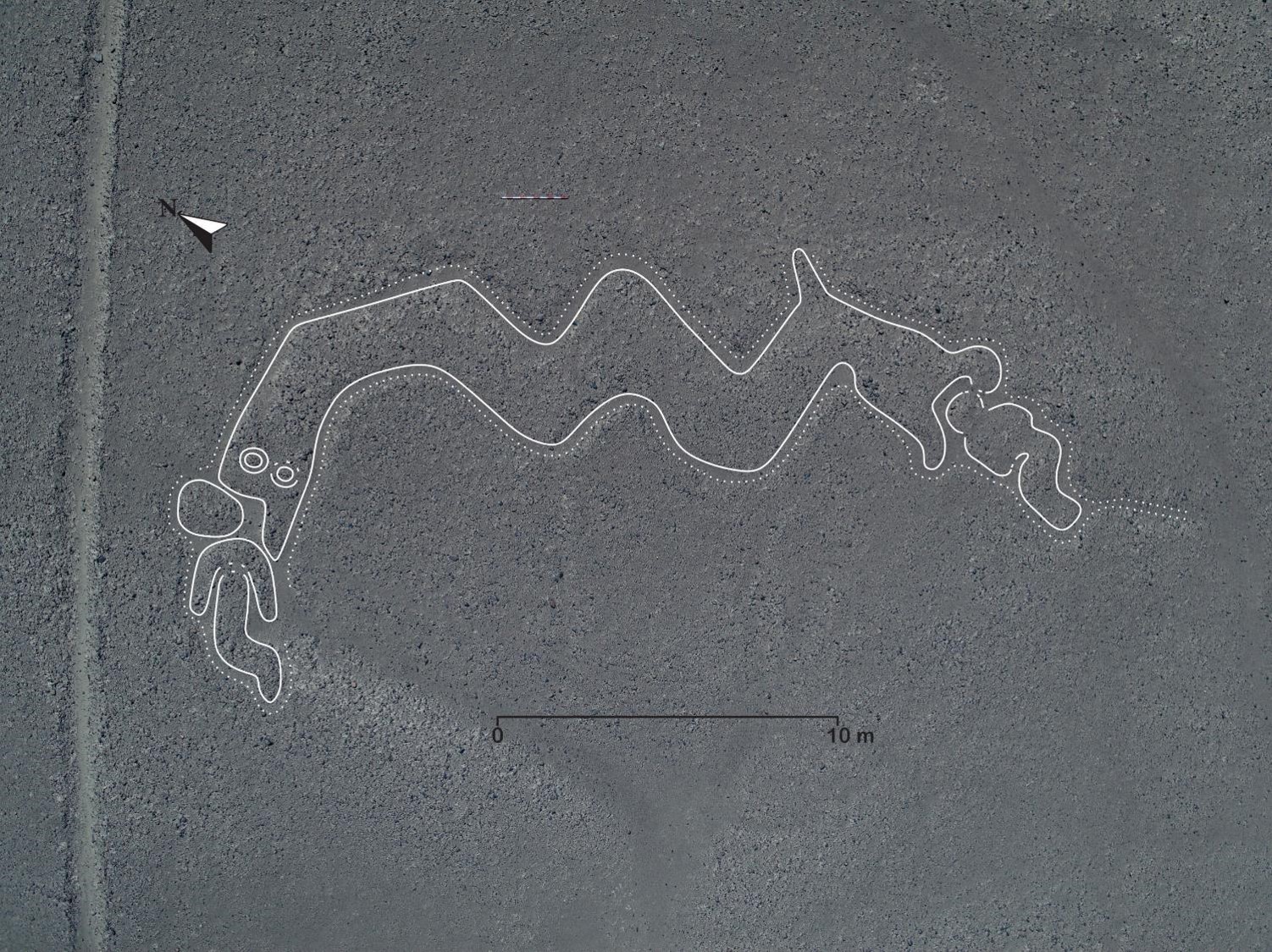 Snake at Palpa geoglyphs